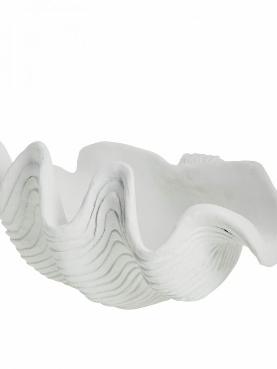 Shella seasell bowl white